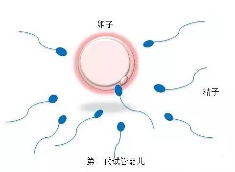 IVF实验室